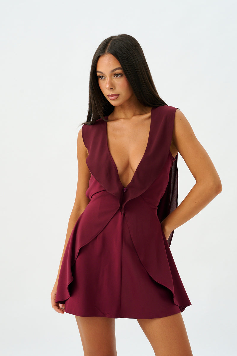 Paige Mini Dress | Burgundy
