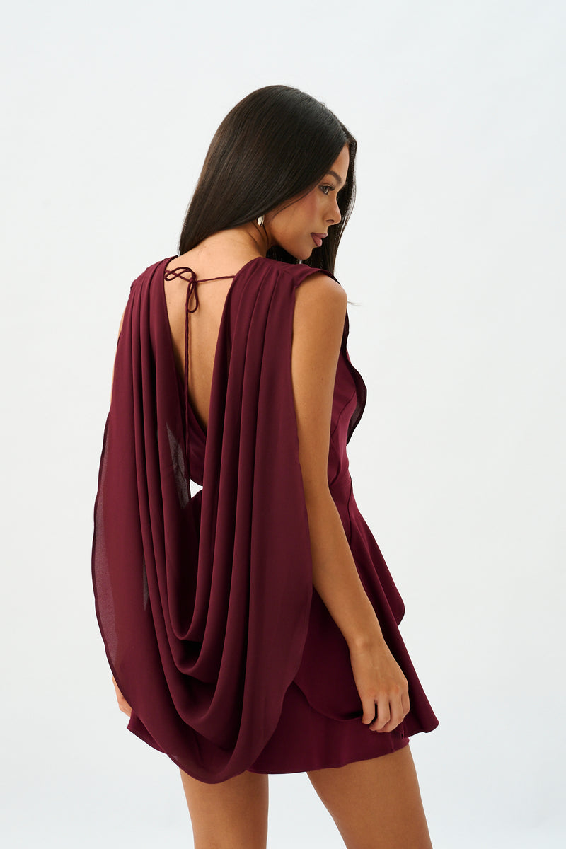 Paige Mini Dress | Burgundy