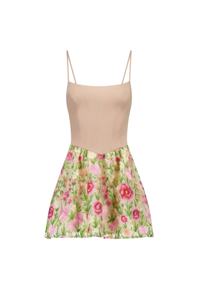 Mini Bodice Dress | Blush Embroidered Floral