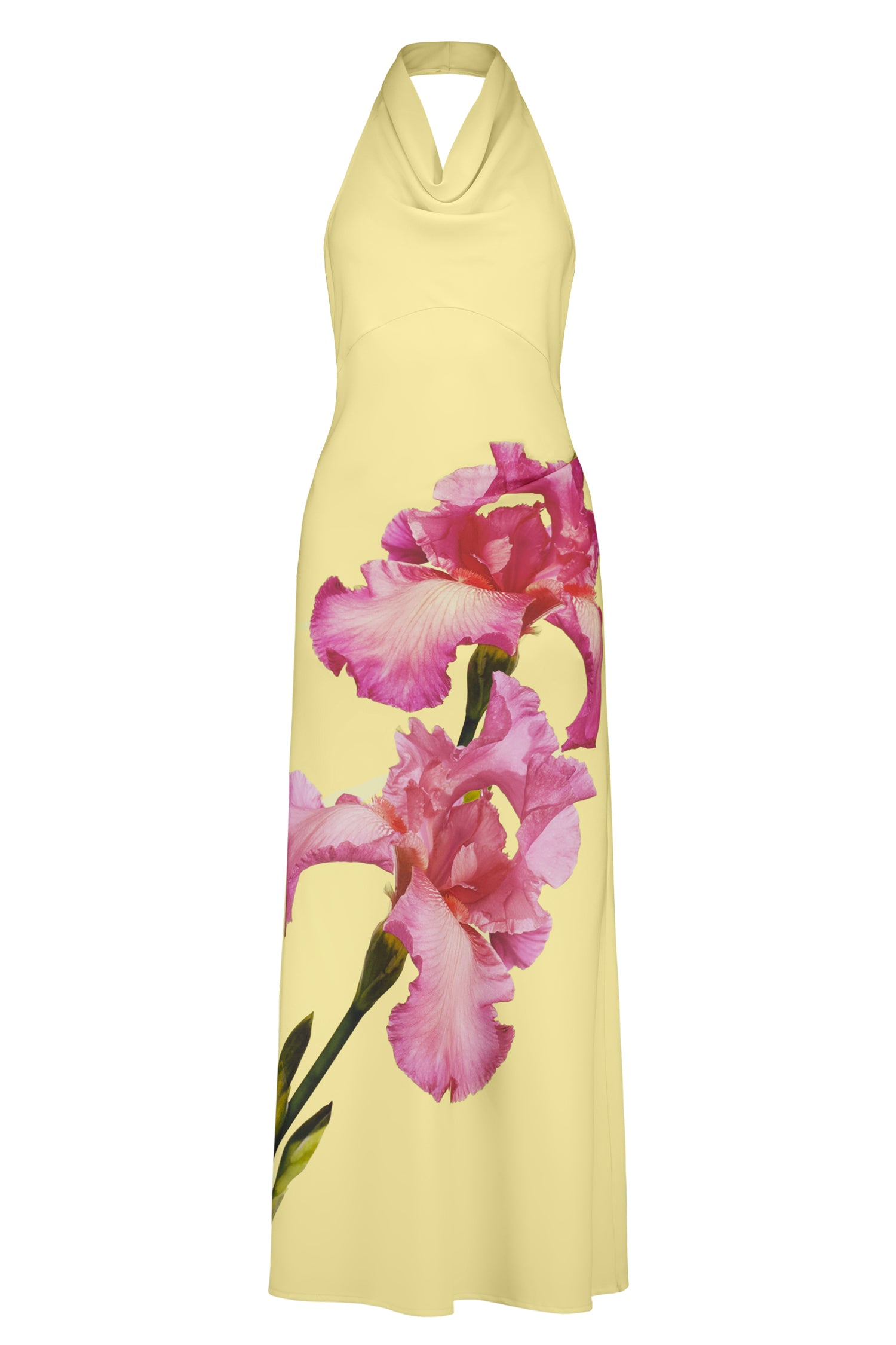 Iris floral dress hotsell