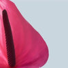 Strapless Slip Dress | Fuchsia Anthurium
