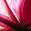 Camisole | Fuchsia Mosaic